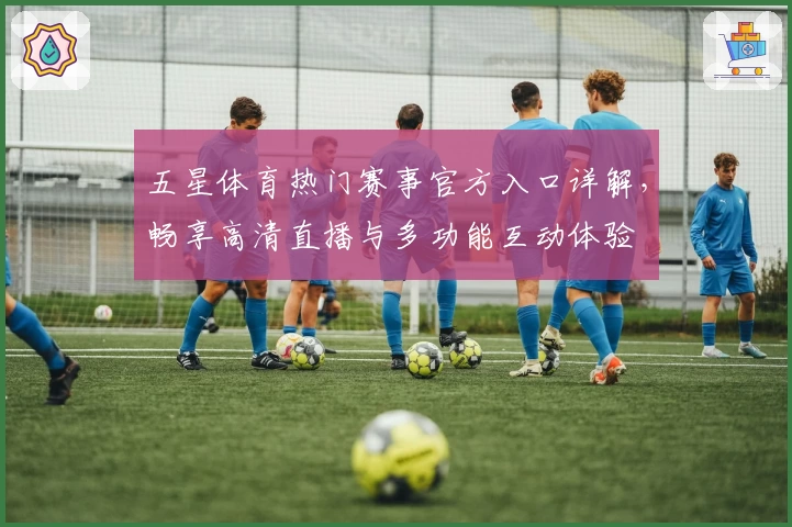 五星体育热门赛事官方入口详解，畅享高清直播与多功能互动体验