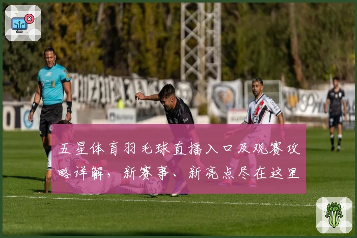 五星体育羽毛球直播入口及观赛攻略详解，新赛事、新亮点尽在这里