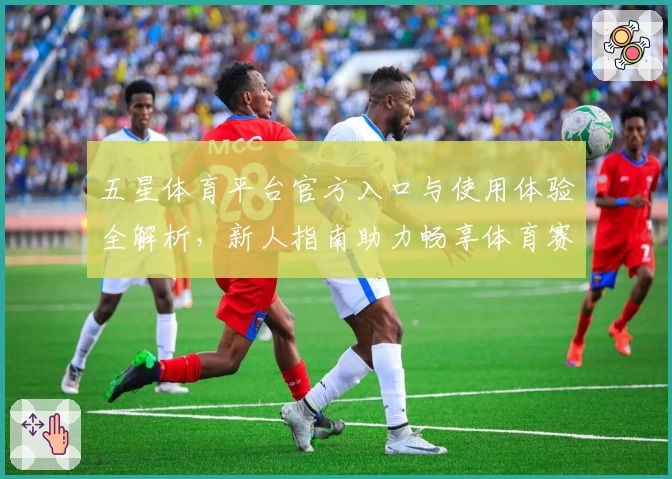 五星体育平台官方入口与使用体验全解析,新人指南助力畅享体育赛事
