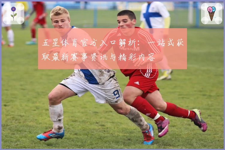 五星体育官方入口解析：一站式获取最新赛事资讯与精彩内容